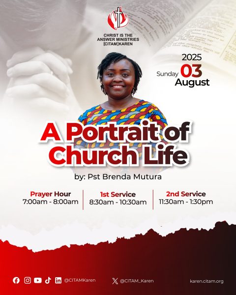A Portrait of Church Life